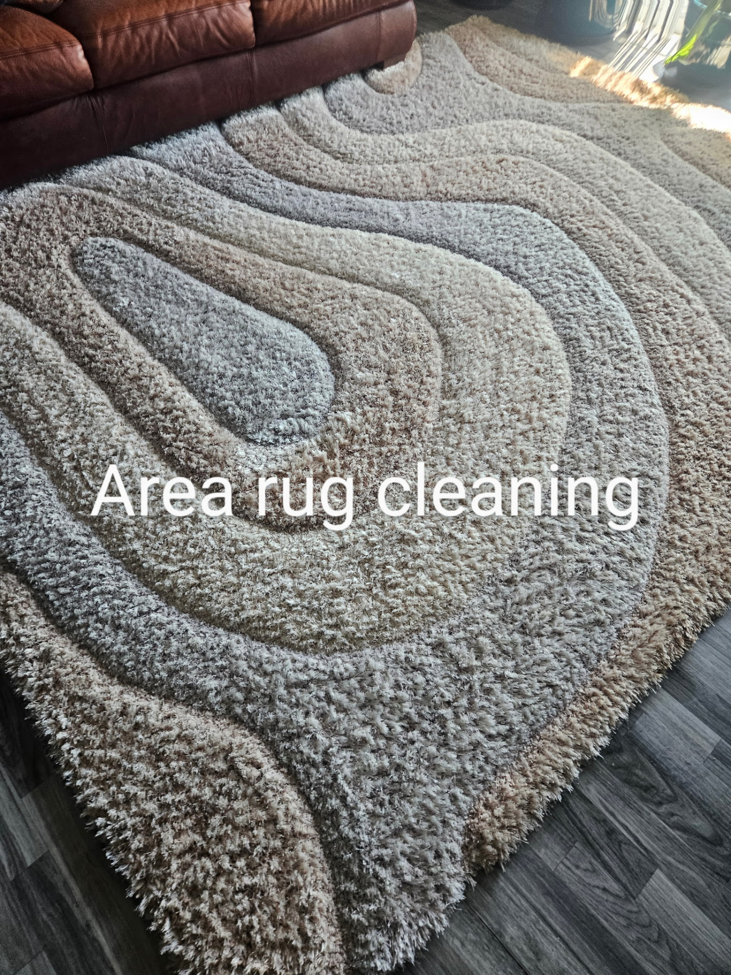 Area rug cleaning
