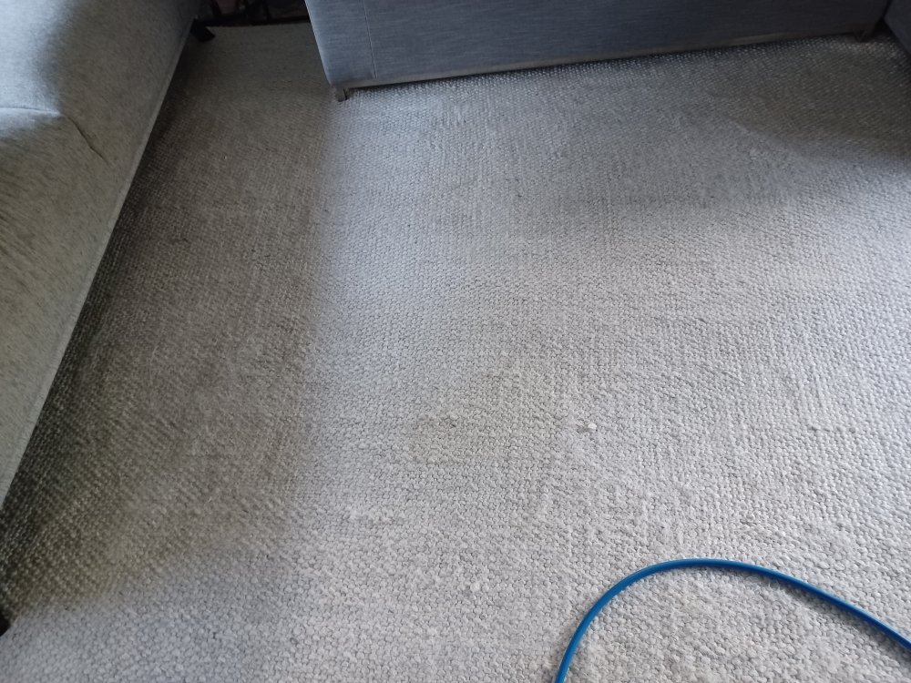 Carpet Cleaning